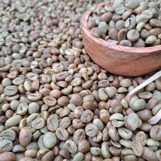 Robusta green coffee Beans